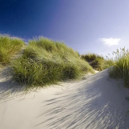 House Makai - Family House With Finnish Sauna, 2 Bathrooms And Only Minutes From The *