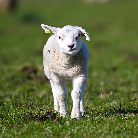 House Makai - Family House With Finnish Sauna, 2 Bathrooms And Only Minutes From The