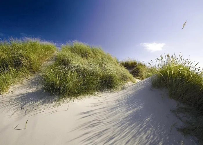 House Makai - Family House With Finnish Sauna, 2 Bathrooms And Only Minutes From The *