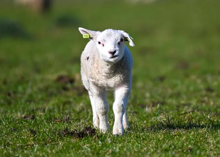 House Makai - Family House With Finnish Sauna, 2 Bathrooms And Only Minutes From The