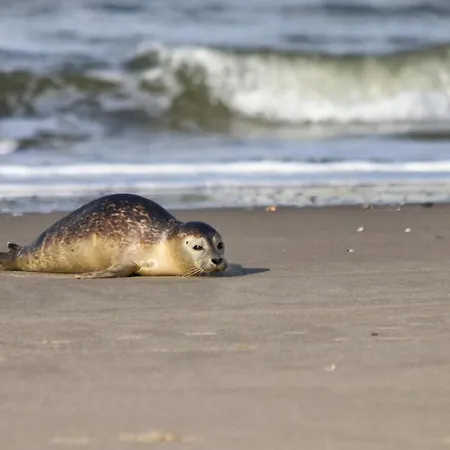 House Makai - Family House With Finnish Sauna, 2 Bathrooms And Only Minutes From The *